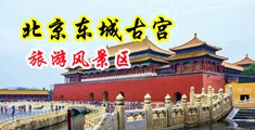 帅哥狂操骚货中国北京-东城古宫旅游风景区